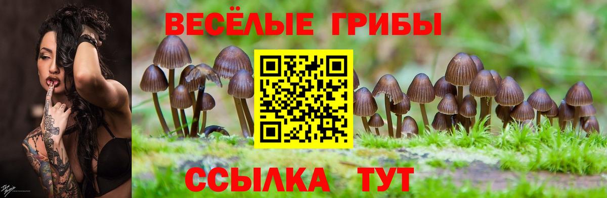 Мелеуз  Псилоцибиновые грибы прущие грибы  Вход с VPN 
